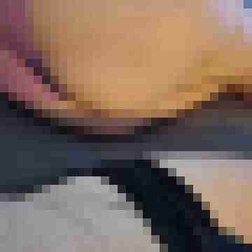 Tom_Bereit