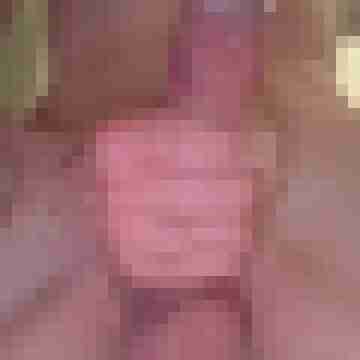 BiLausitzer