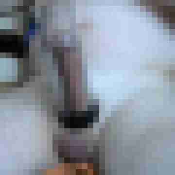 Metalman77