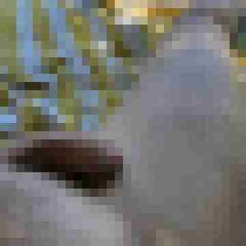 Tom_Bereit