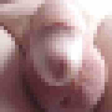 spermaschuss