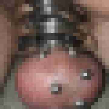 tasteufel