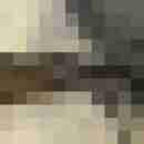 truckinnylons