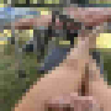 pafo