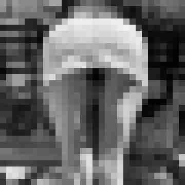 Slut-Wue