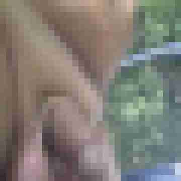 Outdoor_55er