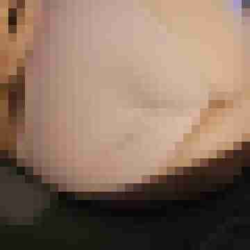 Tom_Bereit