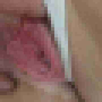 AnSy
