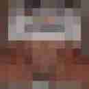 Baecker07