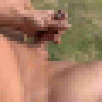 Gepierct21