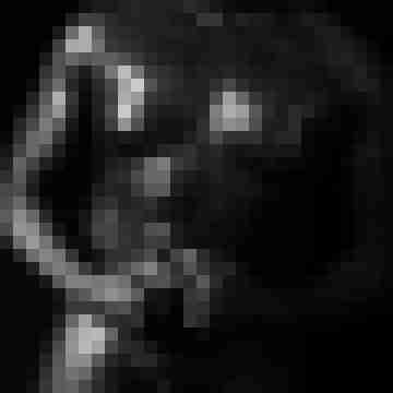 Black_Pharao
