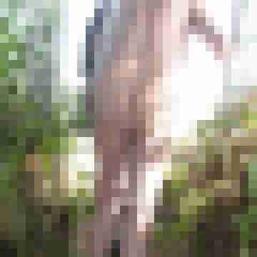seemann0706