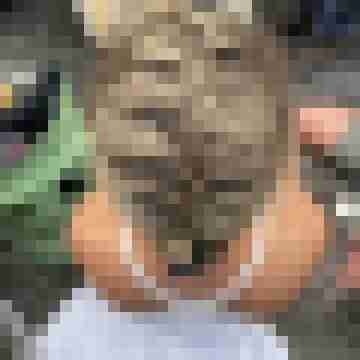 Slut-Wue