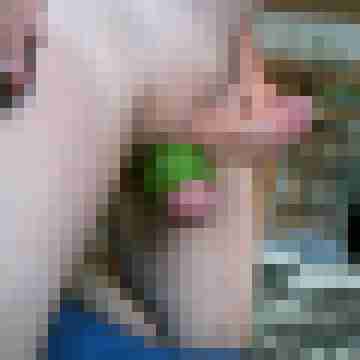 erickerick1