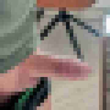 Achim8889
