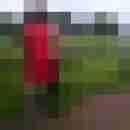 franzie01