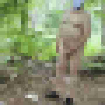 RalfAusMS