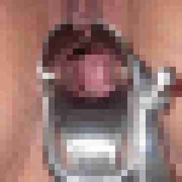 saufotze