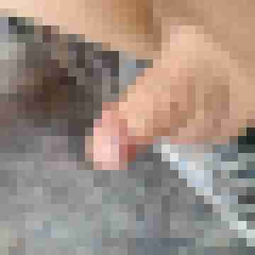 Hannes96050