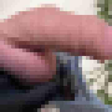 Rieme1