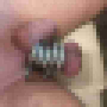 Cam6