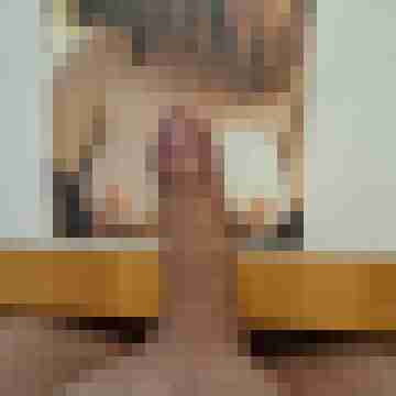 Stier73