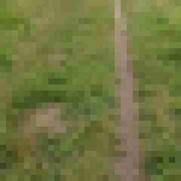 Wet-Cumcock-82