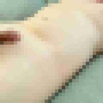 NetterLustling55
