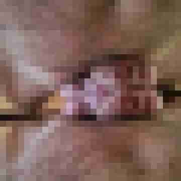 pinsel60