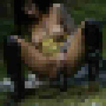 GehtGutRein