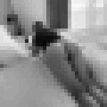 Slut-Wue