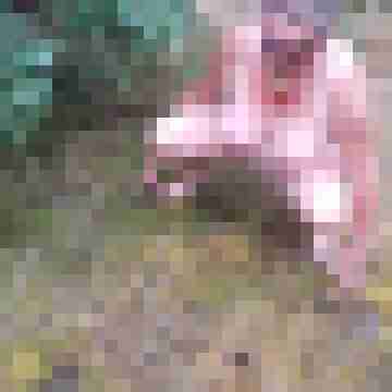 Letsy4u2c