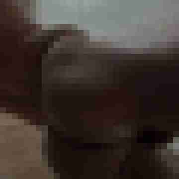 nolimit_781000