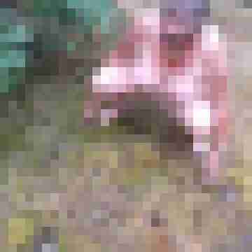 Letsy4u2c