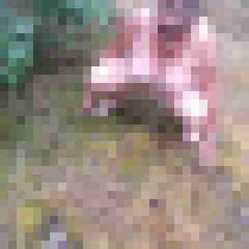 Letsy4u2c