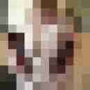 Carlchen