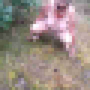 Letsy4u2c