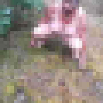 Letsy4u2c
