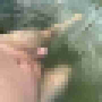 ruttish