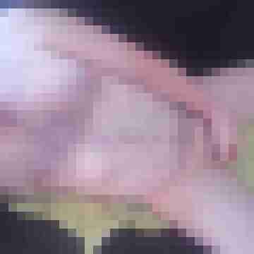 Kleiner_12x3