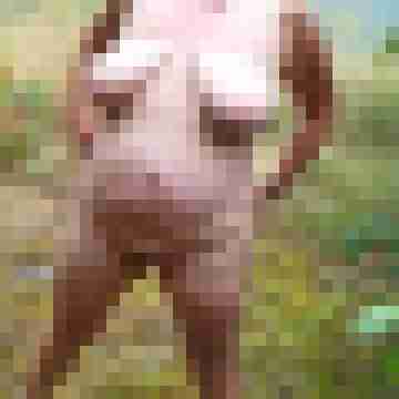 Letsy4u2c