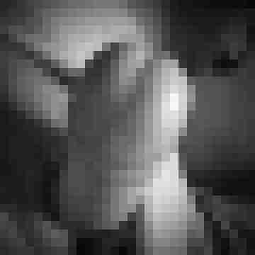 MisterCharming