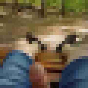 Romeosixtynine