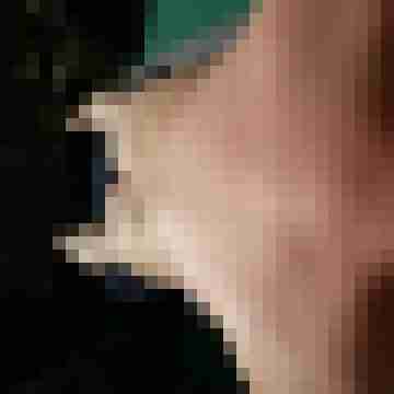 OoSenses