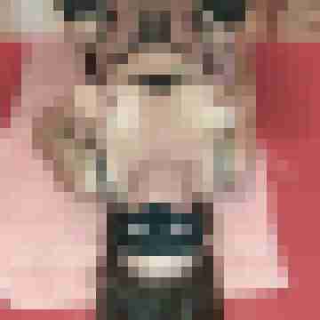 Pigtom