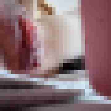devote-x-stute