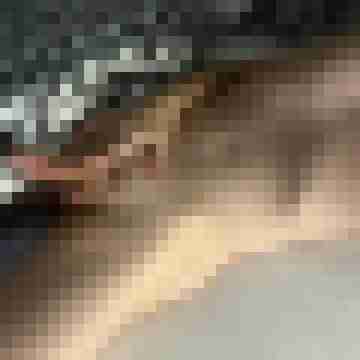 mollyfan46