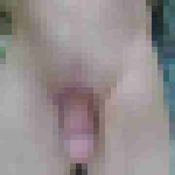 RainerDD57