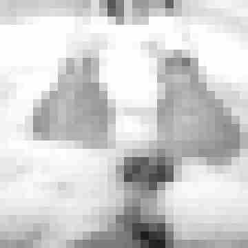 Traumfaenger_bw