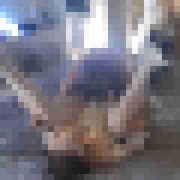 MiaTom112014